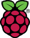 Official Raspberry Pi logo