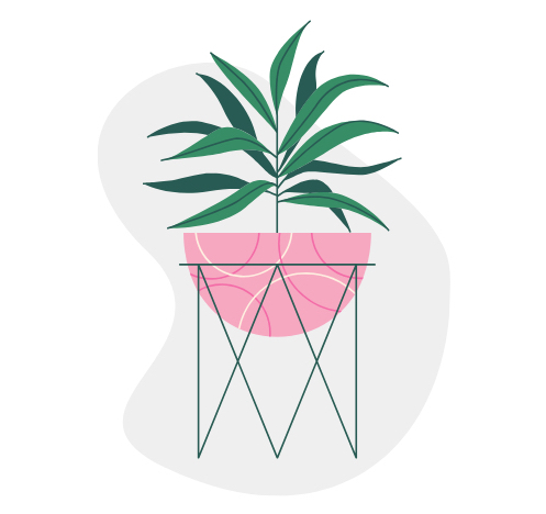 Potted plant.